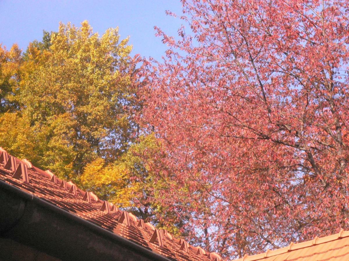 Ferienwohnung Nostalgie 埃伦豪森 外观 照片